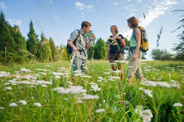 Nengshof Ferienwohnung Wildrose Wißmannsdorf エクステリア 写真