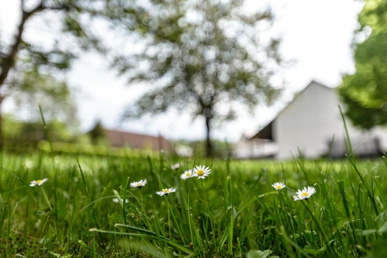 Nengshof Ferienwohnung Wildrose Wißmannsdorf エクステリア 写真